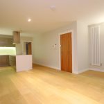 Modern open-plan kitchen and living area, wooden flooring.