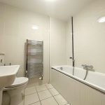 Modern bathroom with bath and heated towel rack.