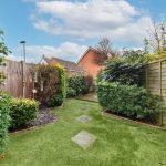 Small garden with grass and shrubs