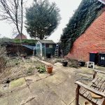 Overgrown garden with shed and climbing ivy wall.