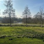 Scenic landscape with trees and river under a clear sky.