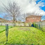 Back garden with trees and wooden fence.