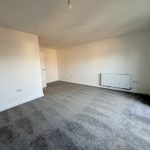 Spacious empty room with grey carpet and white walls.